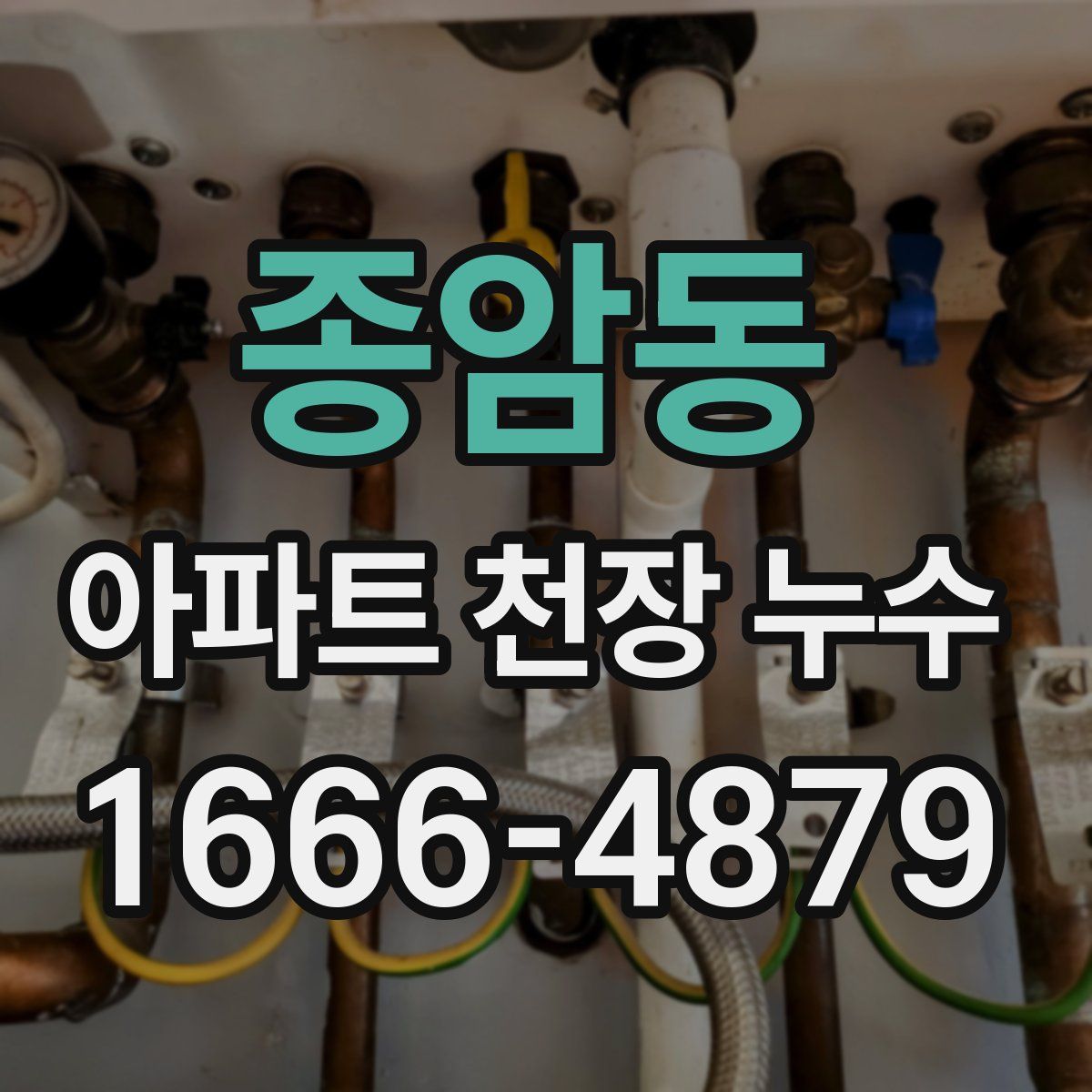 종암동 아파트 천장 누수