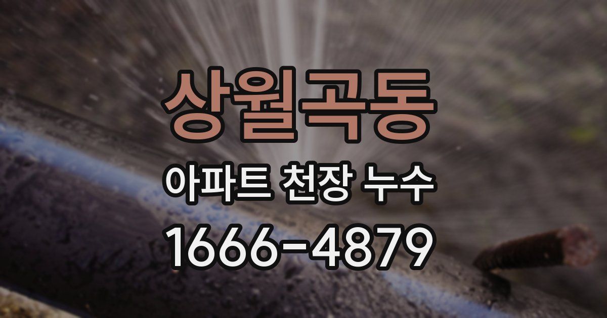 상월곡동 아파트 천장 누수