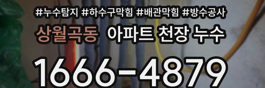 상월곡동 아파트 천장 누수