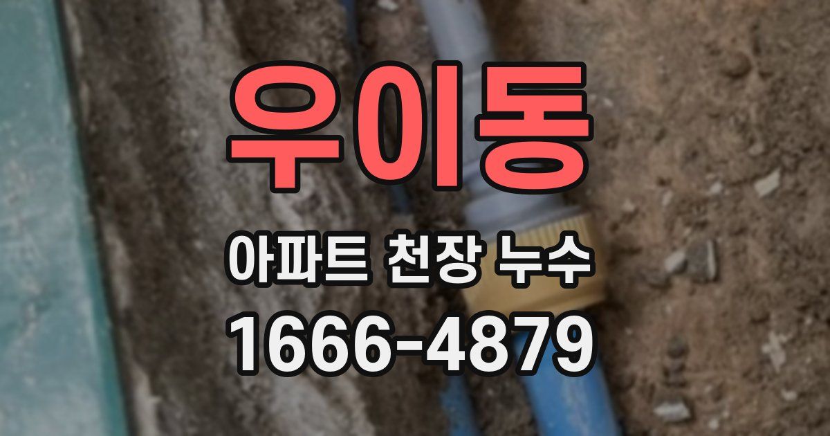 우이동 아파트 천장 누수