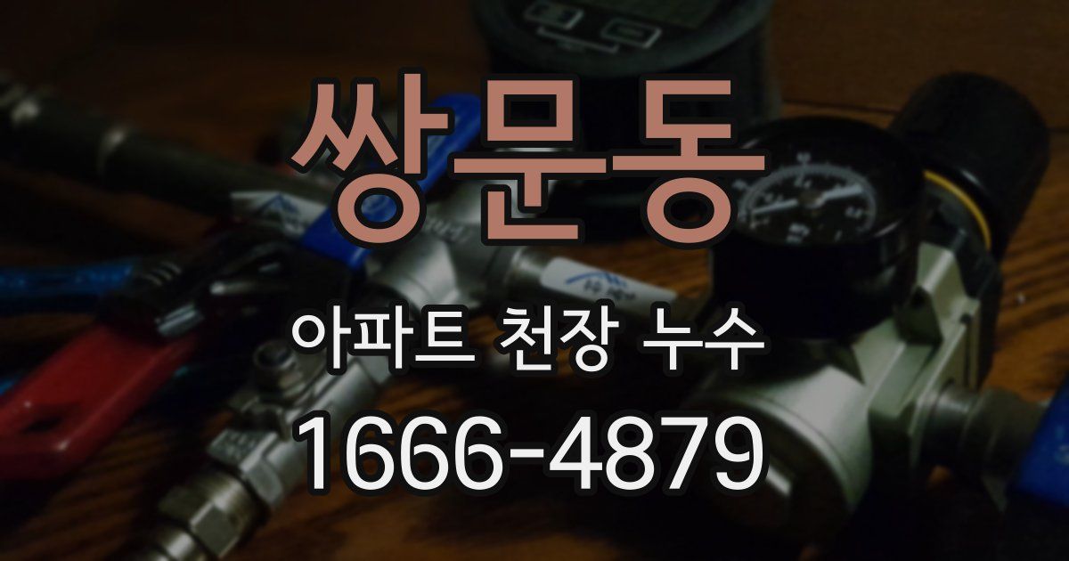 쌍문동 아파트 천장 누수
