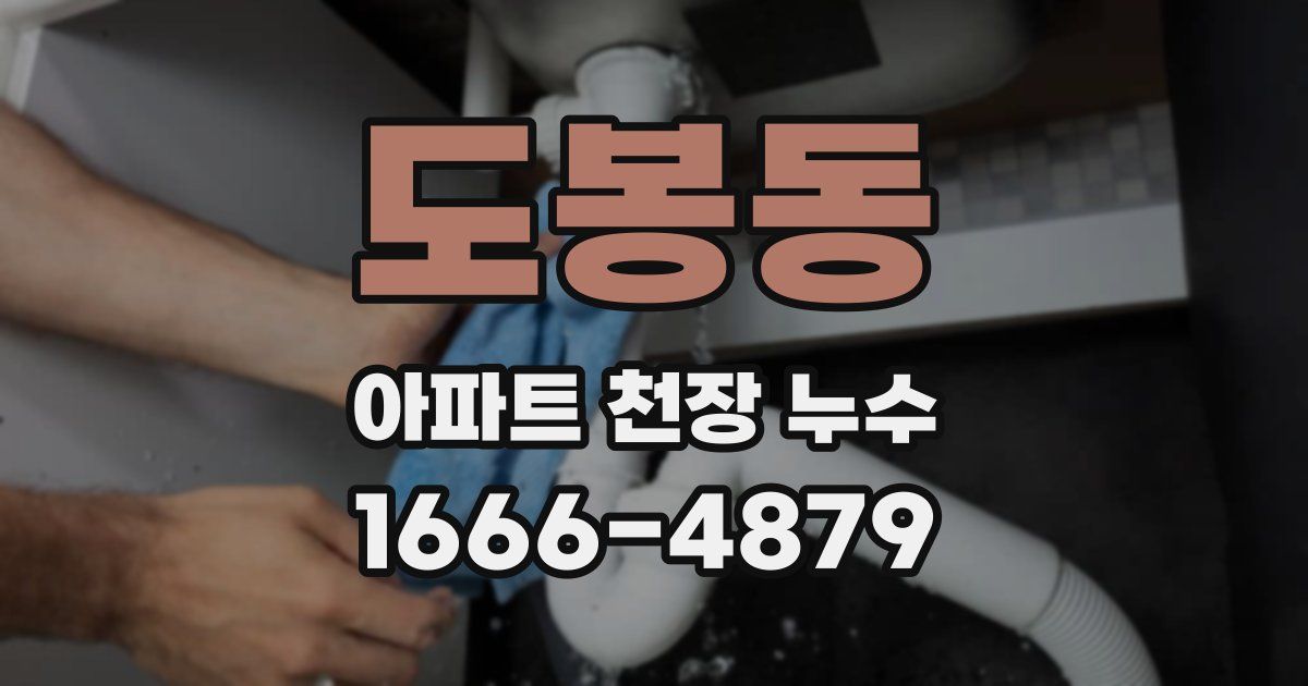 도봉동 아파트 천장 누수
