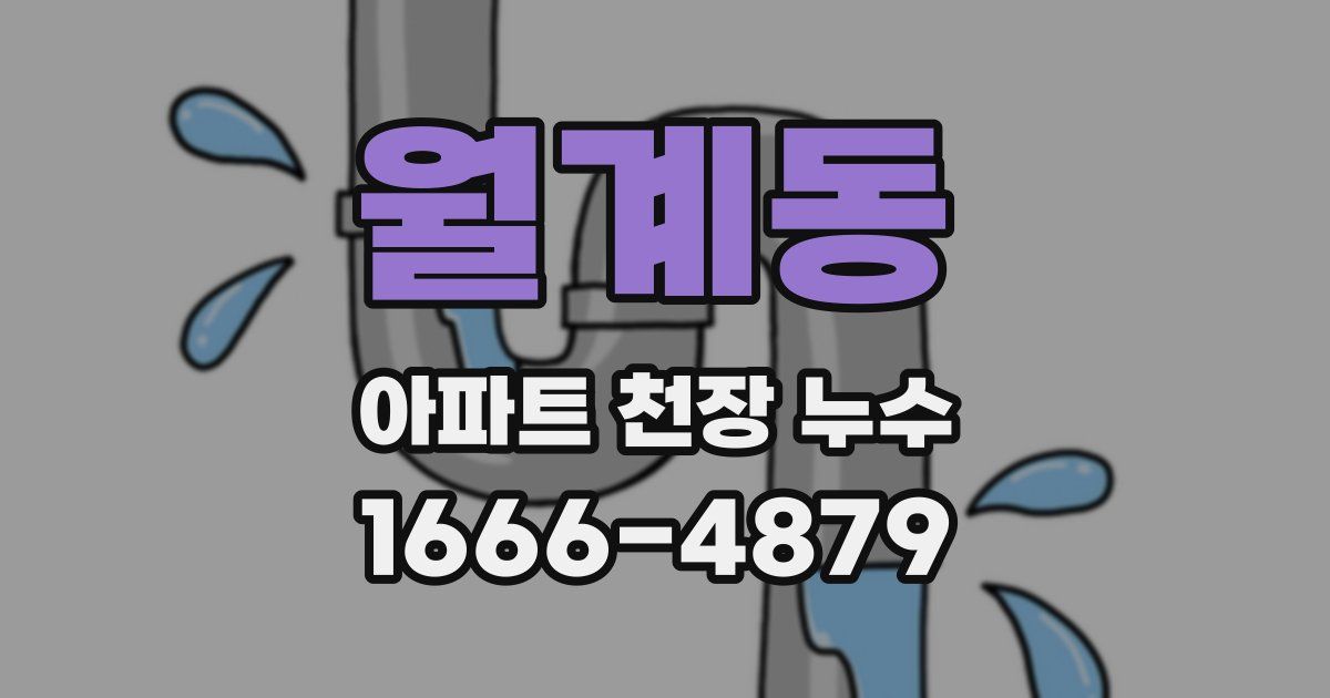 월계동 아파트 천장 누수