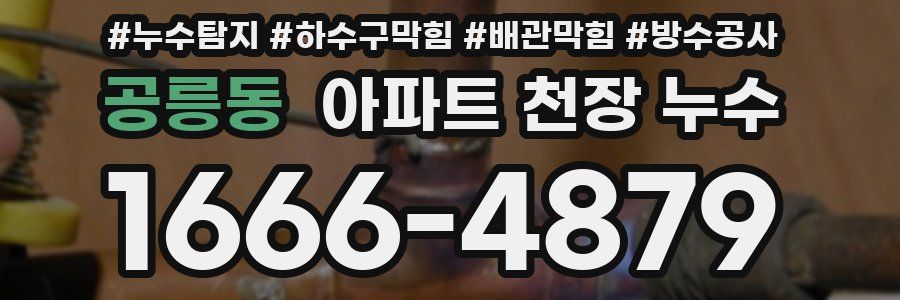 공릉동 아파트 천장 누수