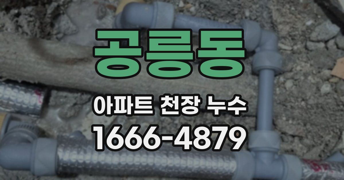 공릉동 아파트 천장 누수