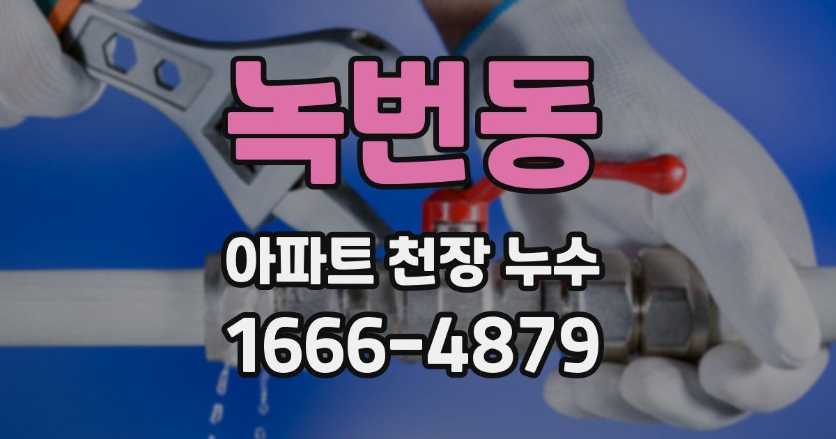 녹번동 아파트 천장 누수
