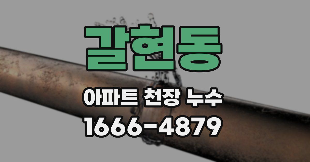 갈현동 아파트 천장 누수