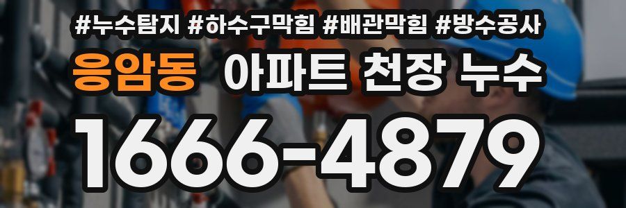 응암동 아파트 천장 누수
