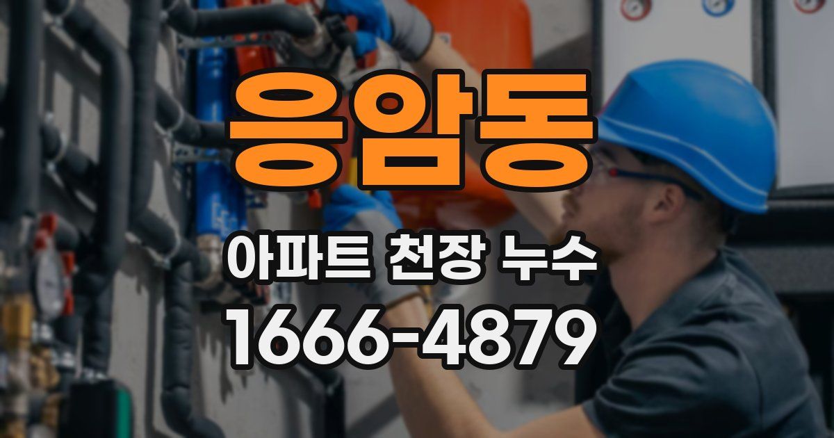 응암동 아파트 천장 누수