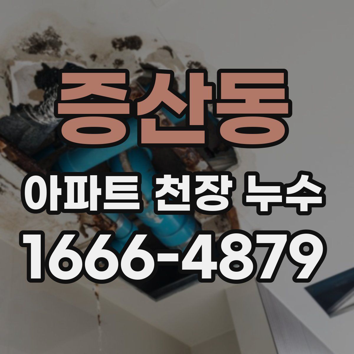 증산동 아파트 천장 누수