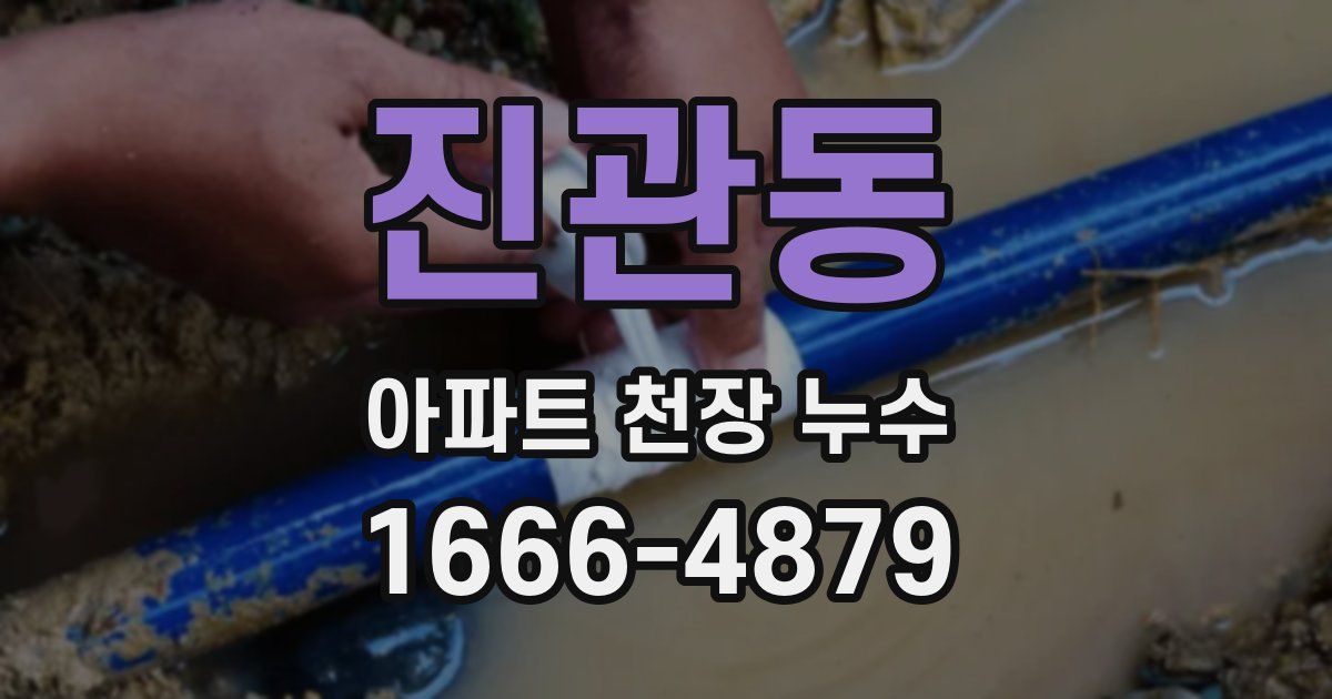진관동 아파트 천장 누수
