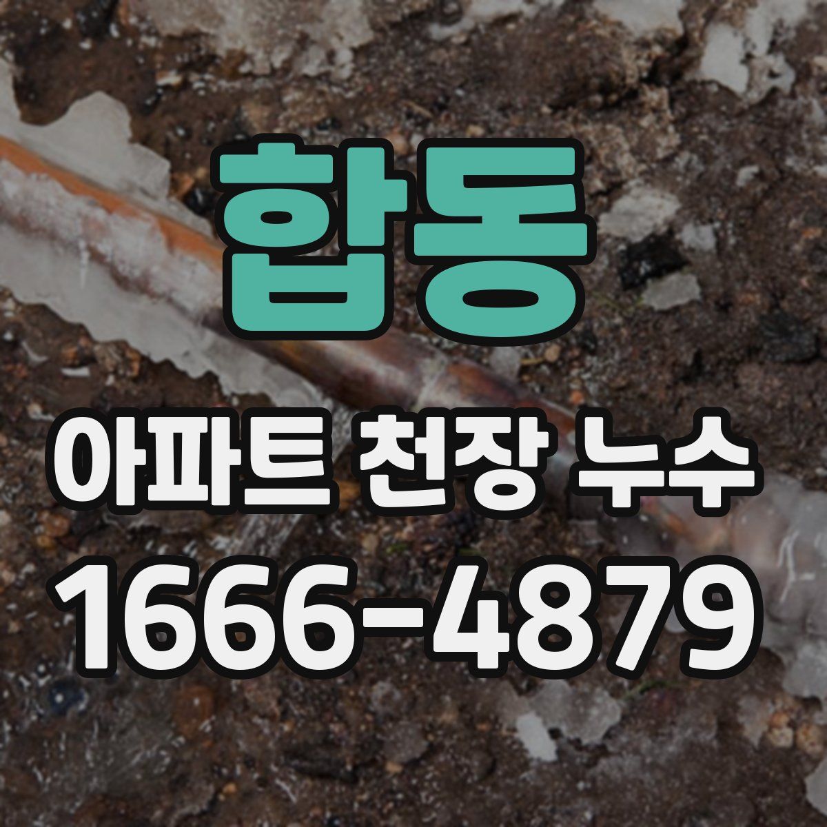 합동 아파트 천장 누수