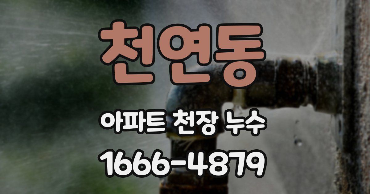 천연동 아파트 천장 누수