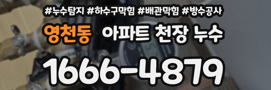 영천동 아파트 천장 누수