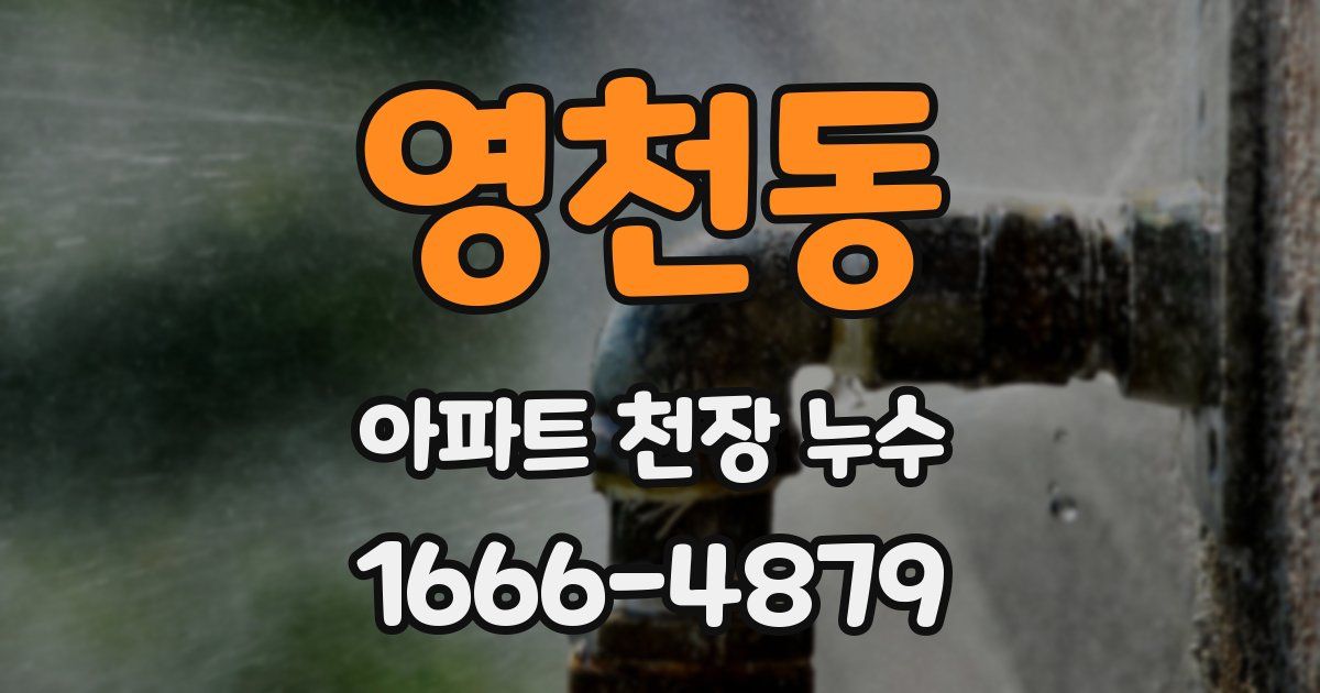 영천동 아파트 천장 누수