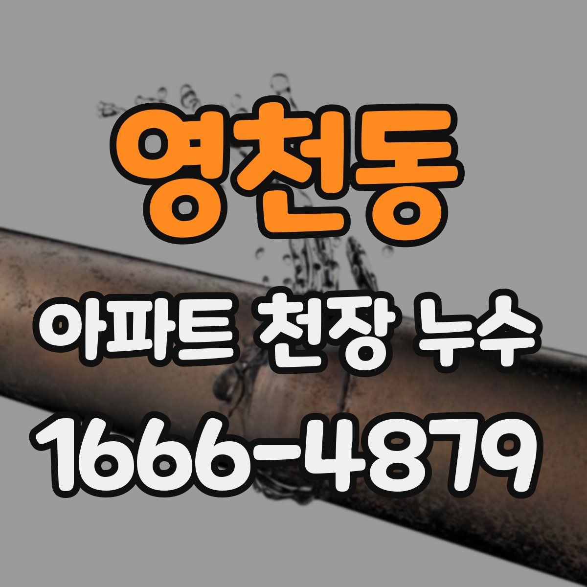 영천동 아파트 천장 누수