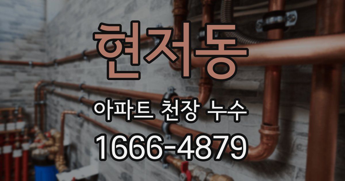 현저동 아파트 천장 누수