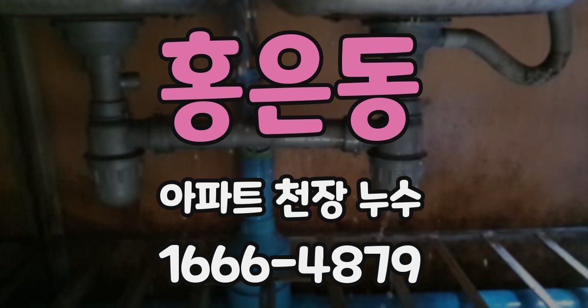 홍은동 아파트 천장 누수