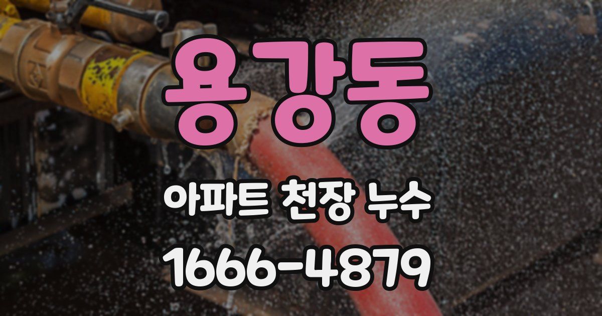 용강동 아파트 천장 누수