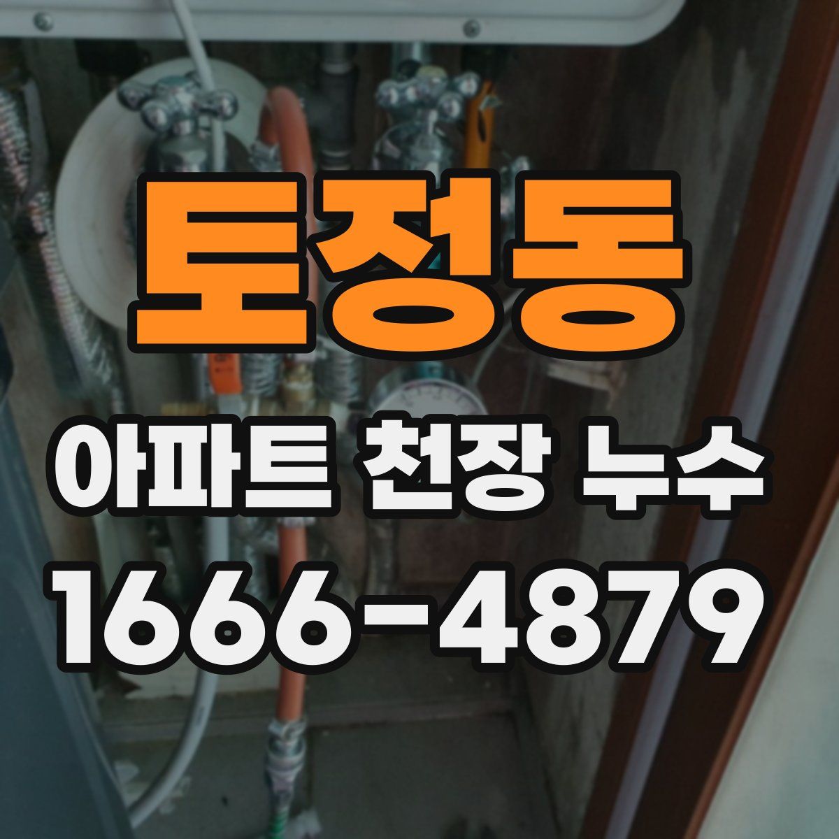 토정동 아파트 천장 누수