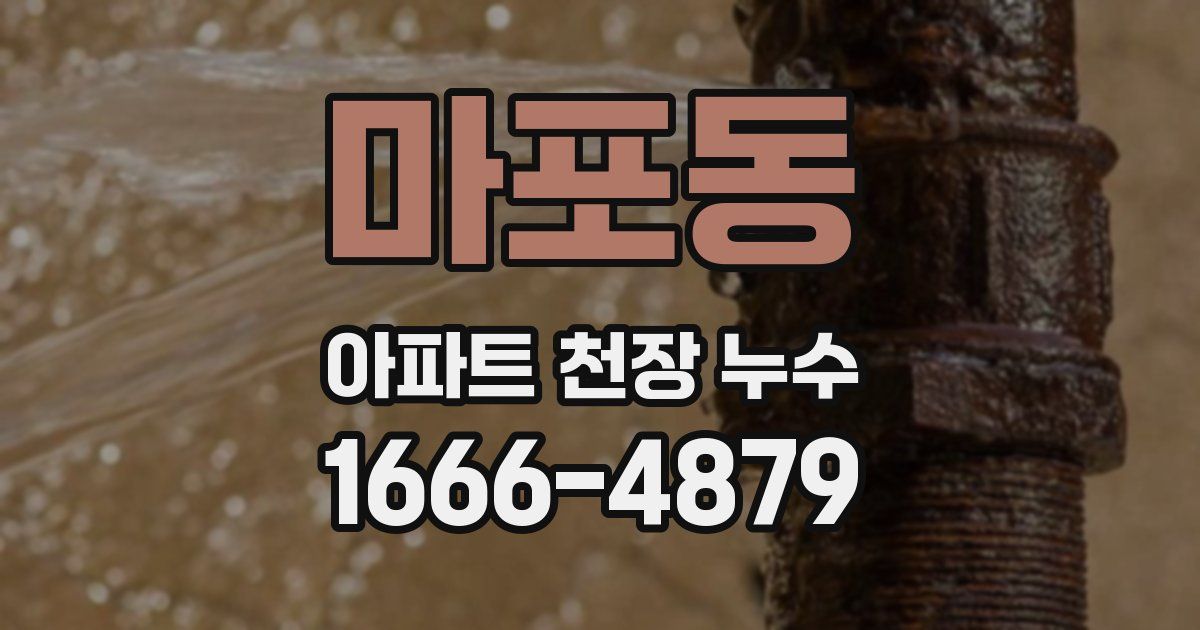 마포동 아파트 천장 누수