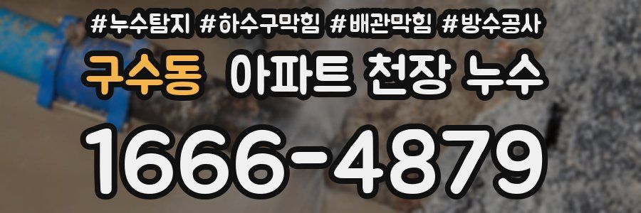 구수동 아파트 천장 누수