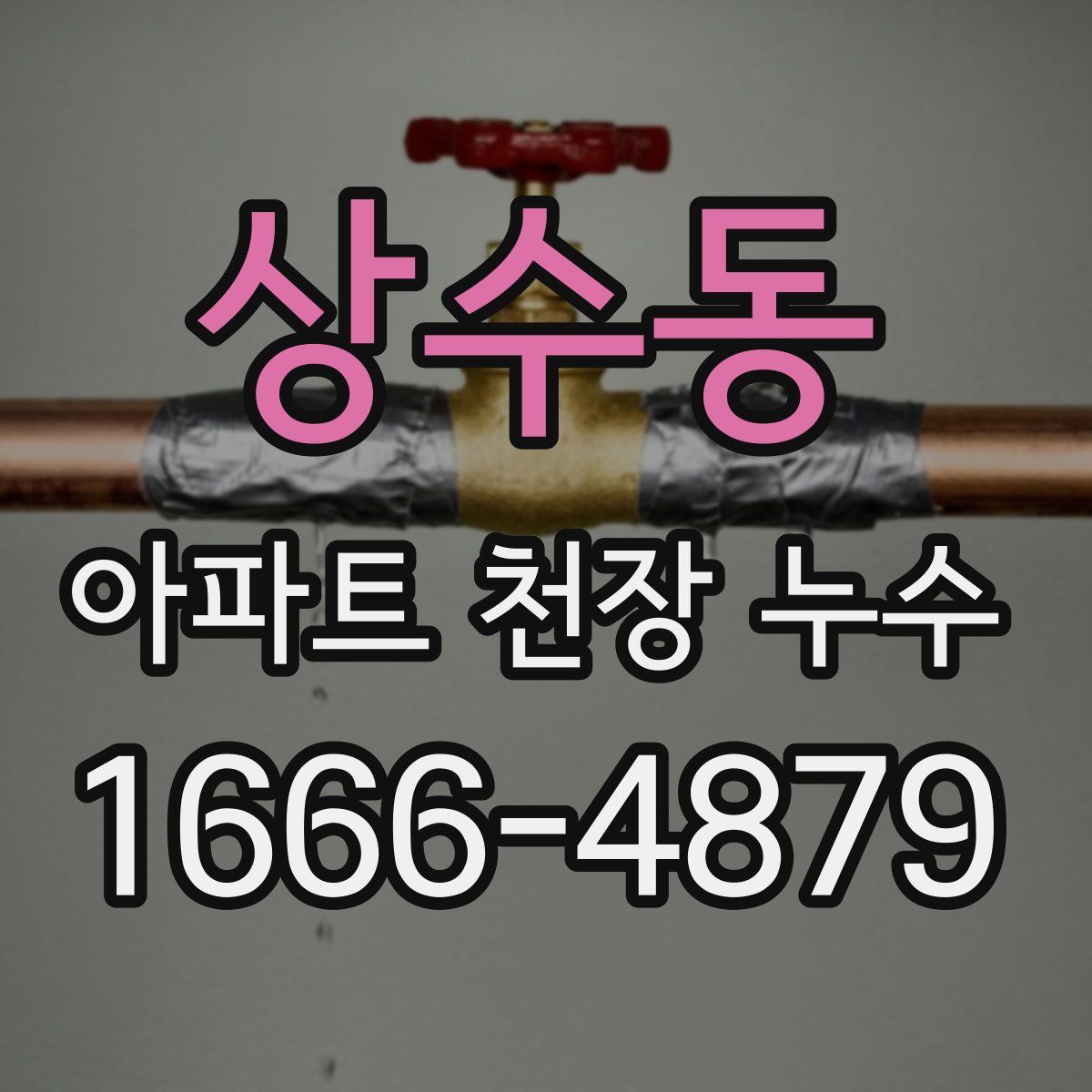 상수동 아파트 천장 누수