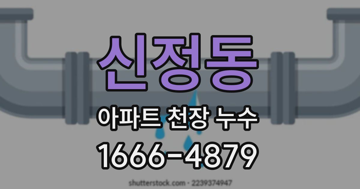 신정동 아파트 천장 누수
