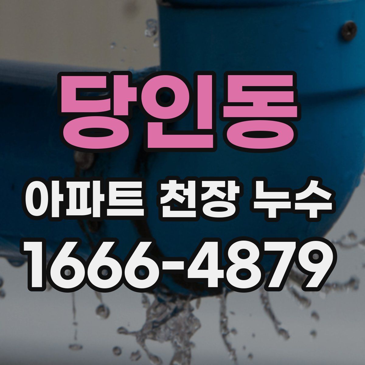 당인동 아파트 천장 누수