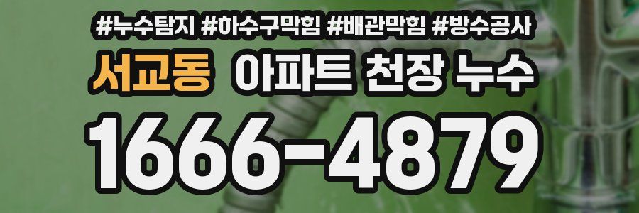 서교동 아파트 천장 누수