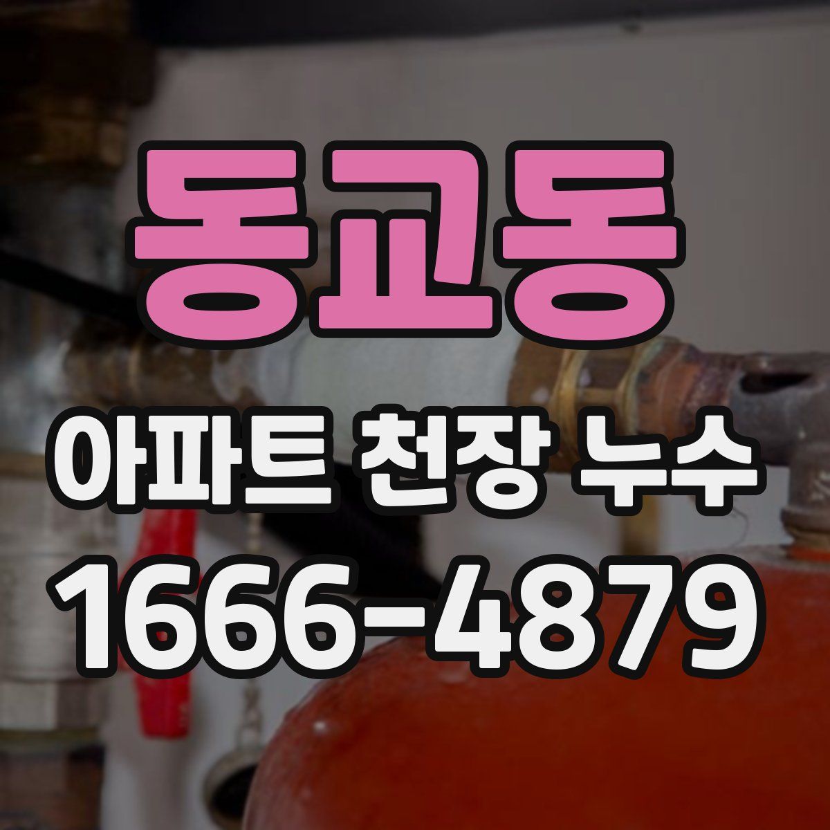 동교동 아파트 천장 누수