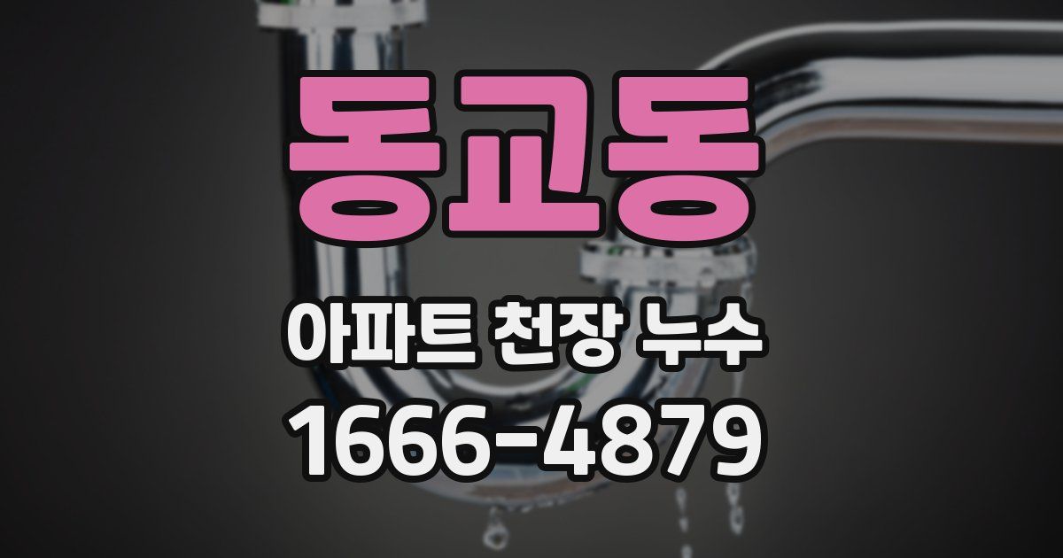 동교동 아파트 천장 누수