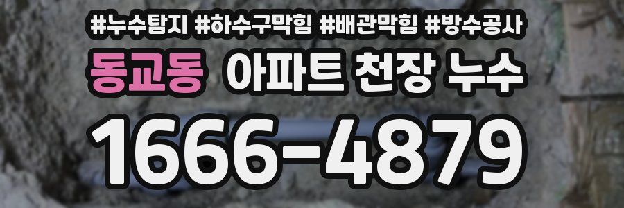 동교동 아파트 천장 누수