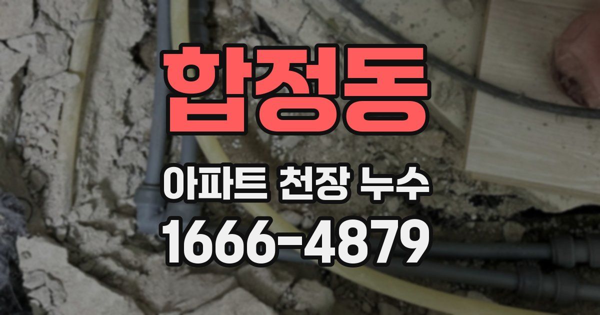 합정동 아파트 천장 누수