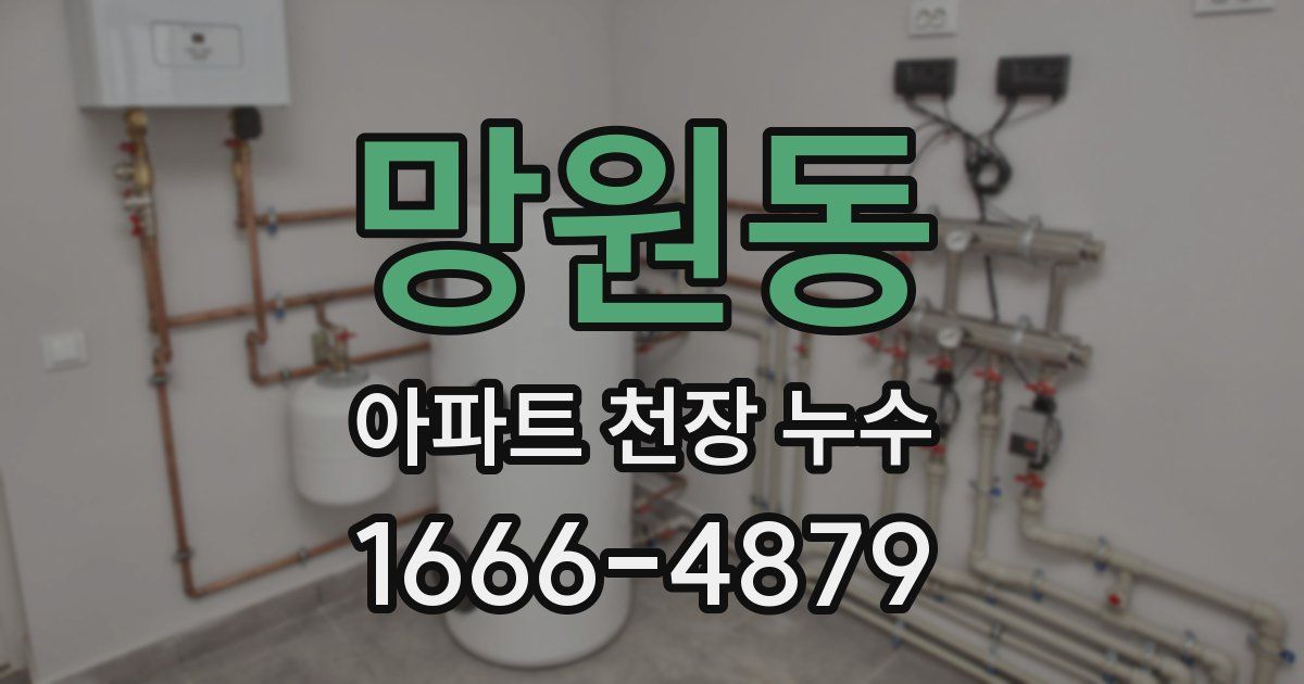 망원동 아파트 천장 누수