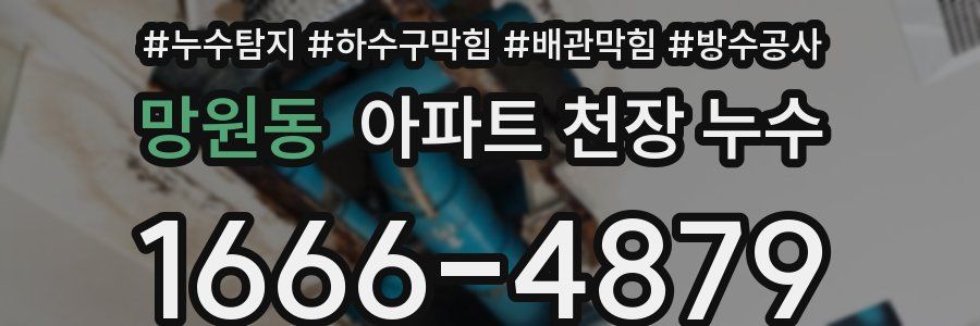 망원동 아파트 천장 누수