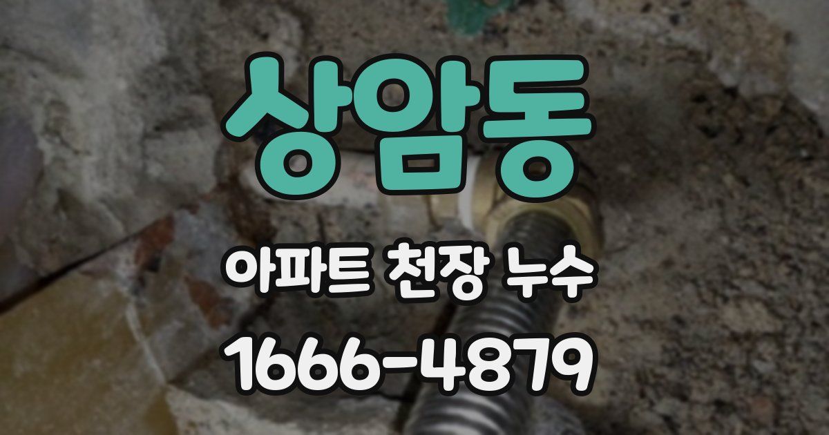 상암동 아파트 천장 누수