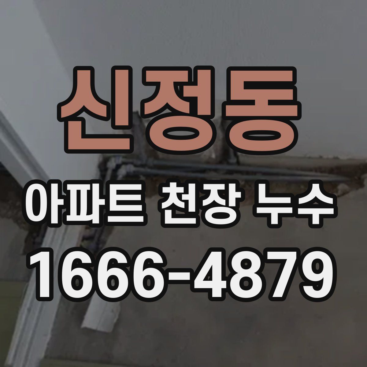 신정동 아파트 천장 누수
