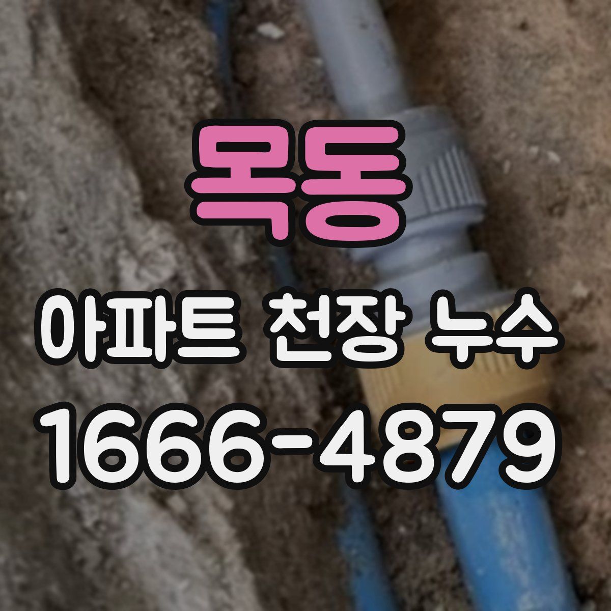 목동 아파트 천장 누수