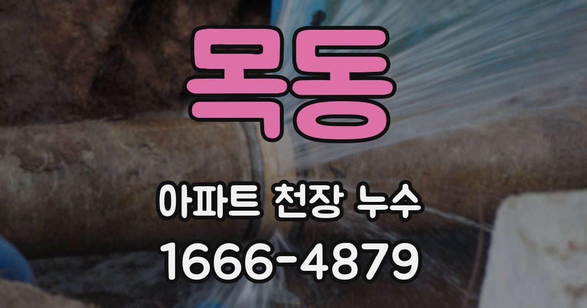 목동 아파트 천장 누수
