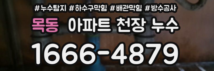 목동 아파트 천장 누수
