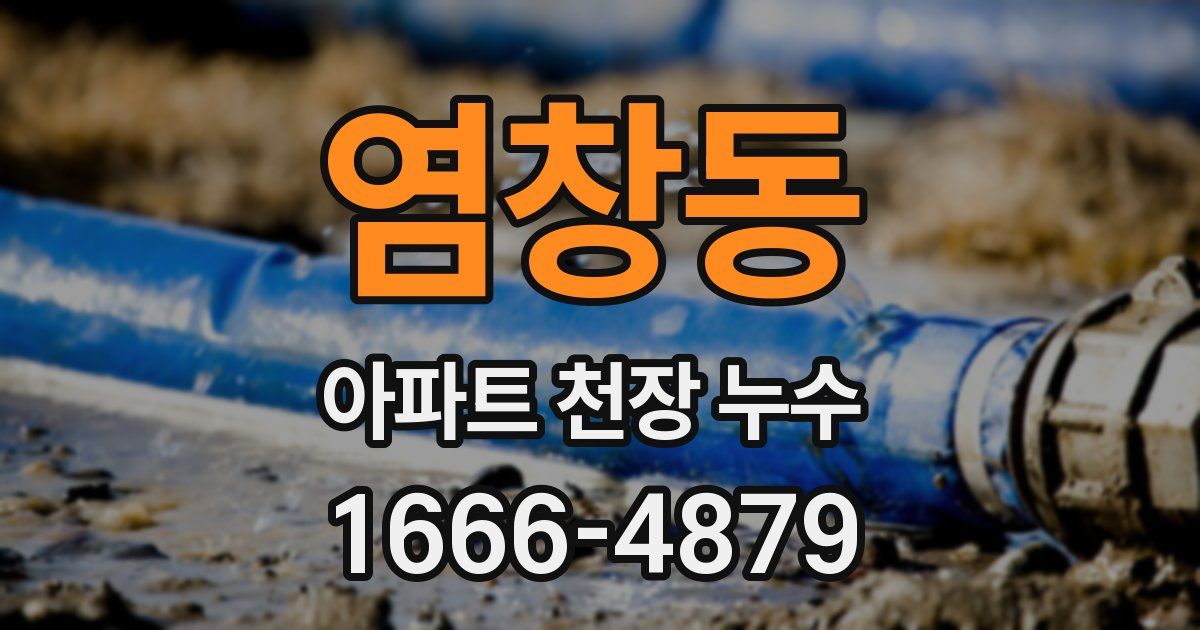 염창동 아파트 천장 누수