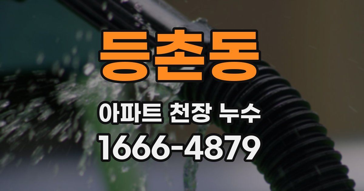 등촌동 아파트 천장 누수