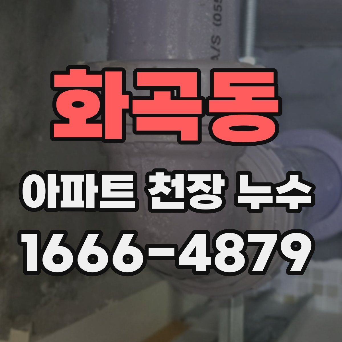 화곡동 아파트 천장 누수