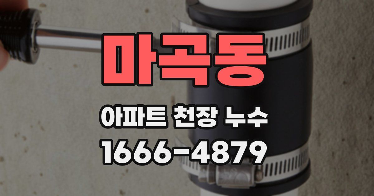 마곡동 아파트 천장 누수