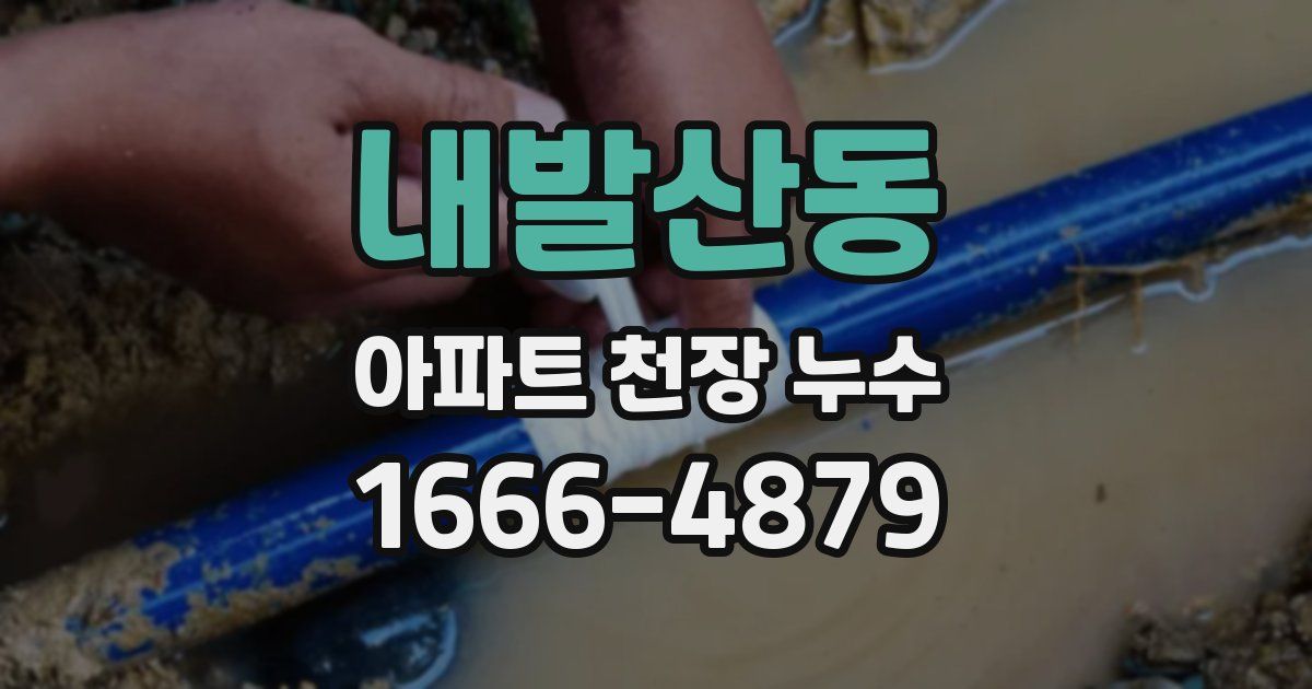 내발산동 아파트 천장 누수
