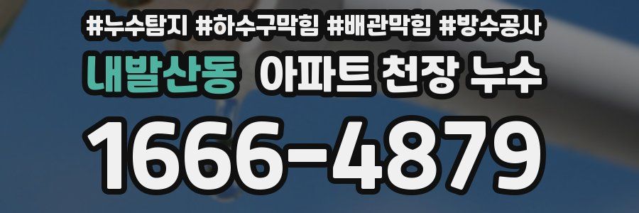 내발산동 아파트 천장 누수