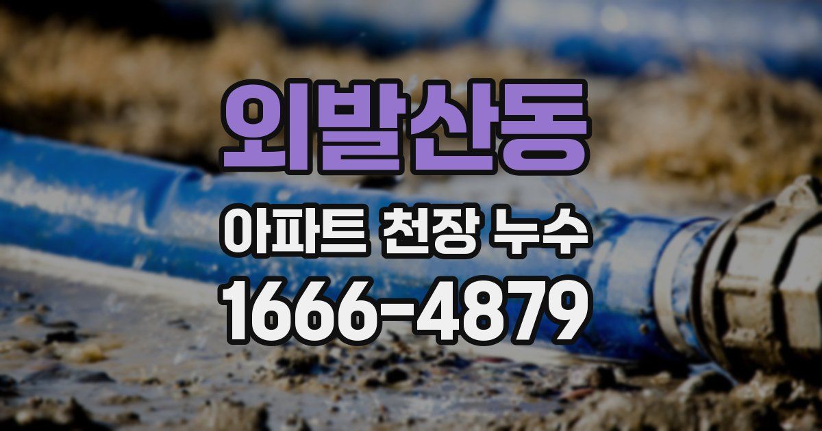 외발산동 아파트 천장 누수