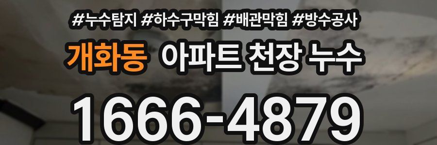개화동 아파트 천장 누수
