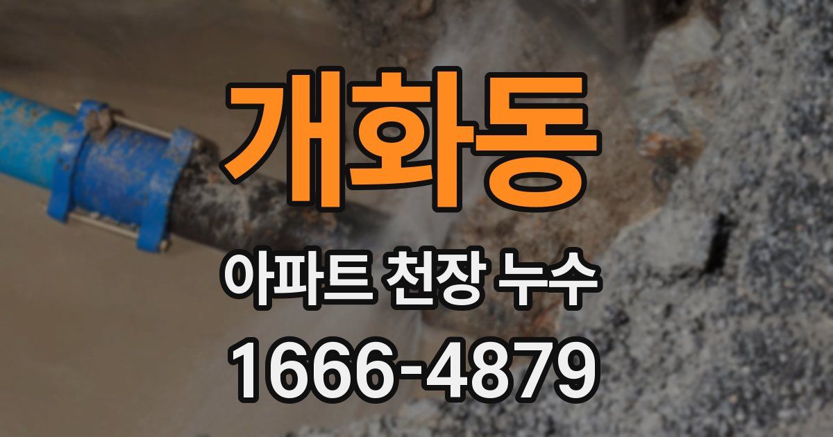 개화동 아파트 천장 누수